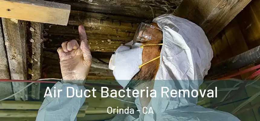  Air Duct Bacteria Removal Orinda - CA