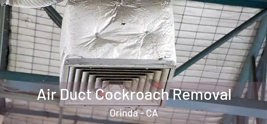 Air Duct Cockroach Removal Orinda - CA