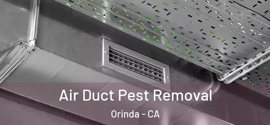 Air Duct Pest Removal Orinda - CA