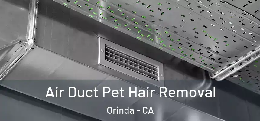 Air Duct Pet Hair Removal Orinda - CA