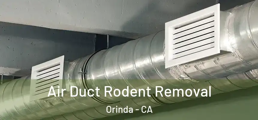 Air Duct Rodent Removal Orinda - CA