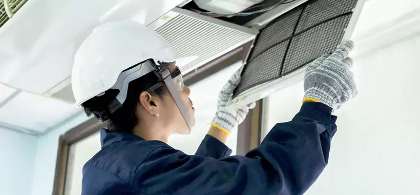 Our Mold & Mildew Removal from Air Ducts Services in Orinda, CA