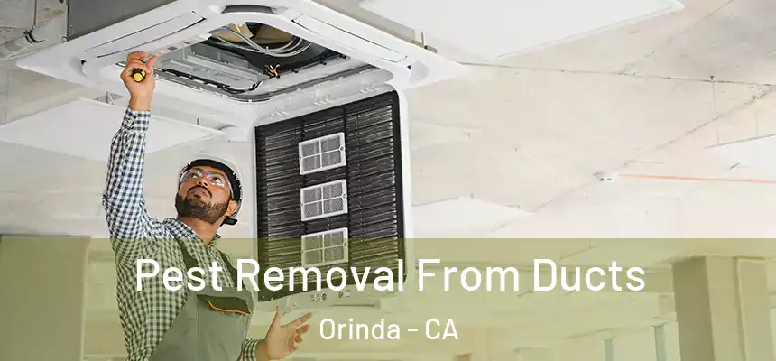 Pest Removal From Ducts Orinda - CA