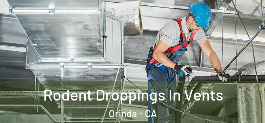 Rodent Droppings In Vents Orinda - CA