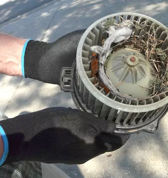 About Air Duct Rat Removal in Orinda, CA