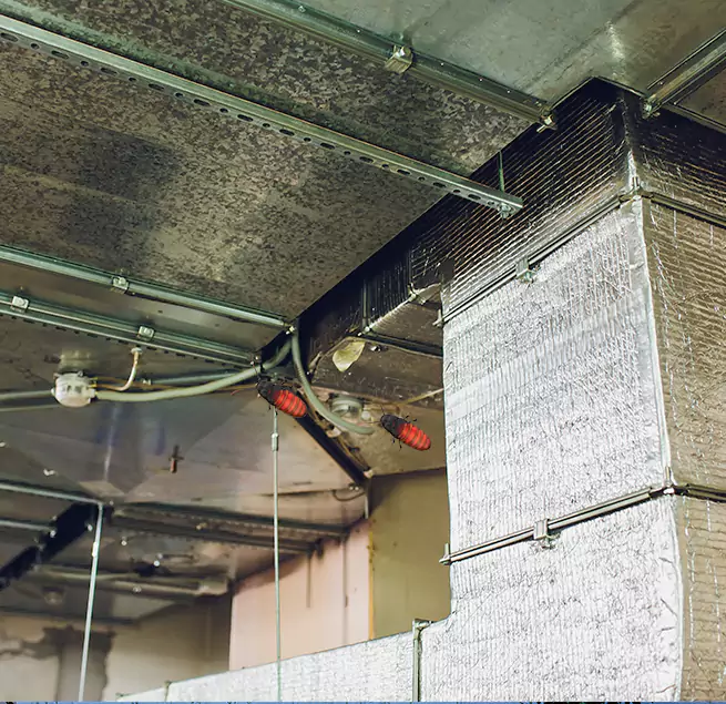 Why Homeowners & Businesses Trust Us in Orinda, CA?