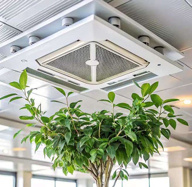 Why Homeowners & Businesses Trust Us in Orinda, CA?